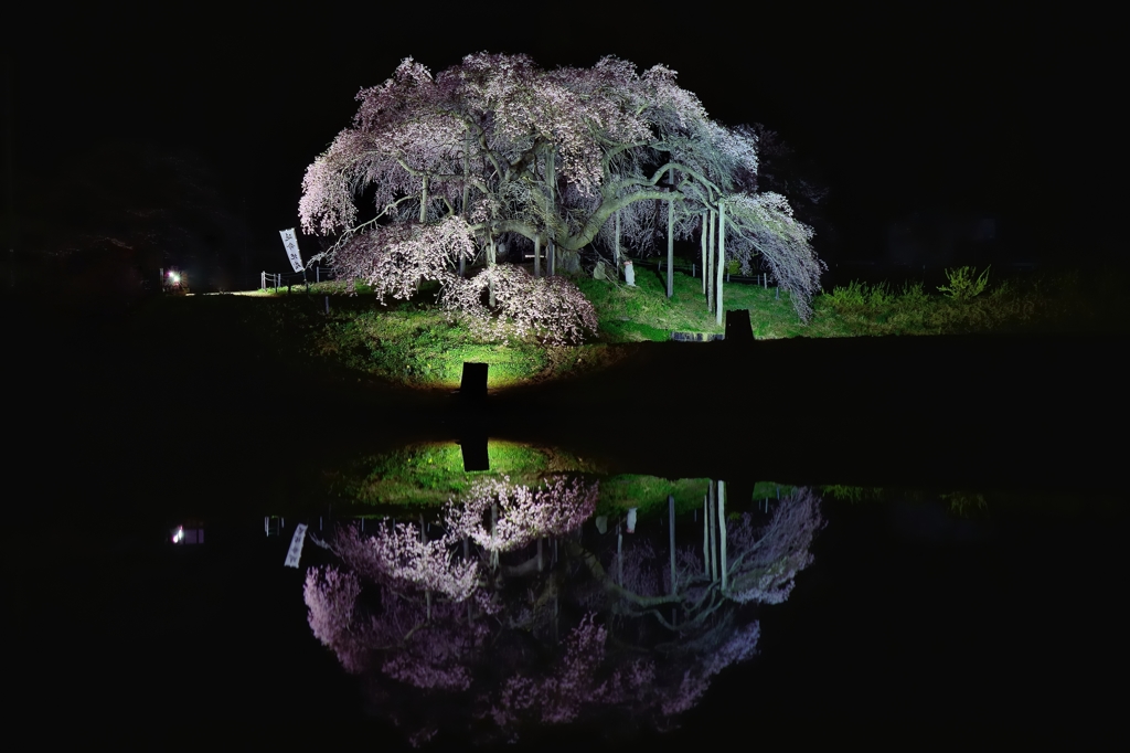 幻想の世界