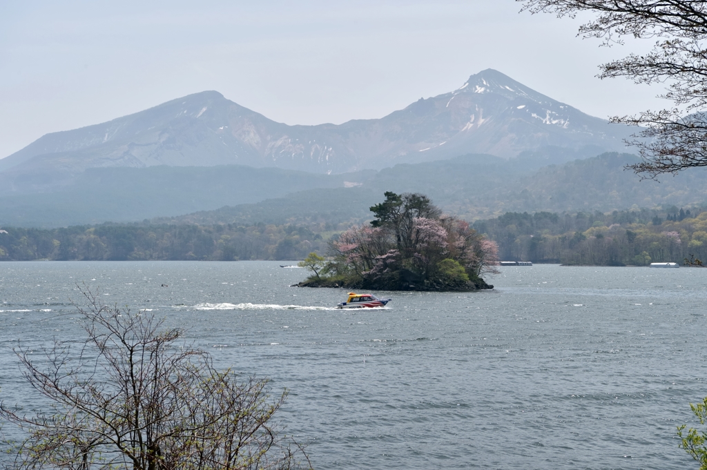 福島の「桜島」