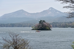 福島の「桜島」