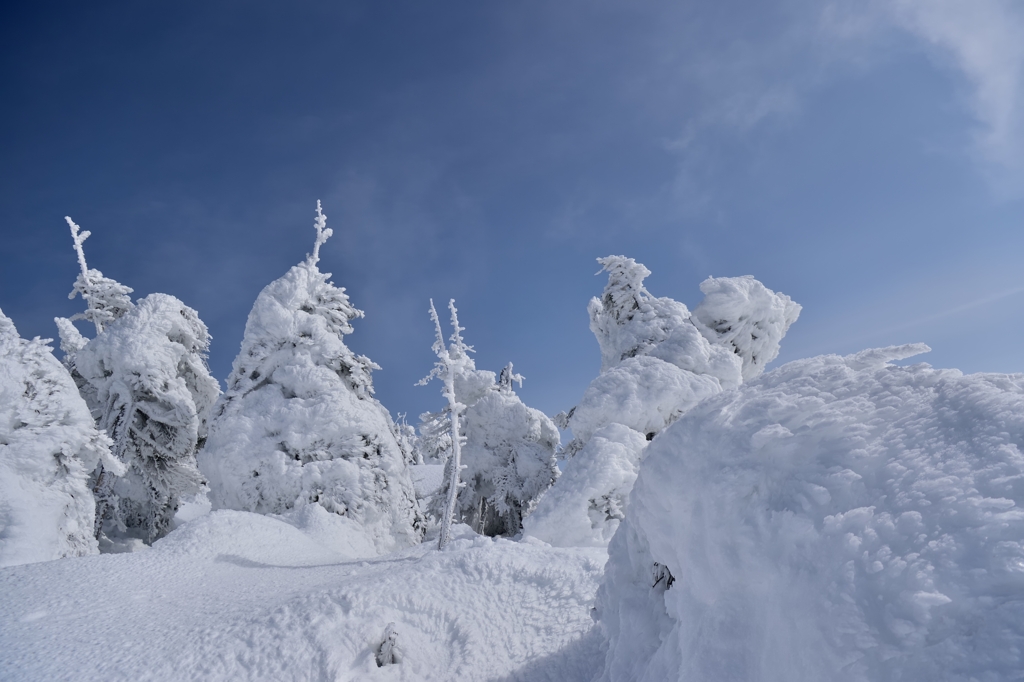 行ってみたい　山形蔵王
