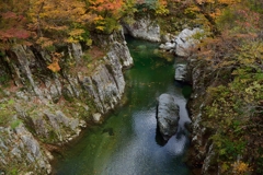 小国の渓流