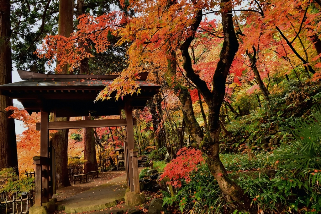 色とりどり・・・