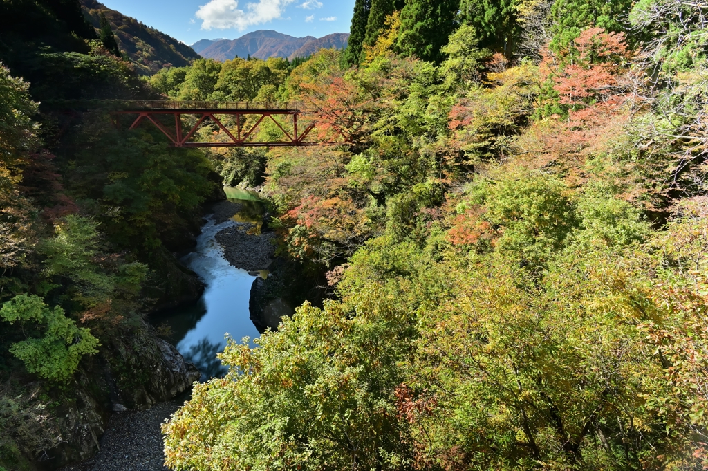 渡れない橋　玉川渓流（新田橋）