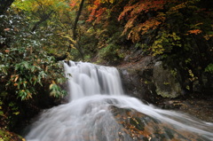 紅葉と昇竜の滝