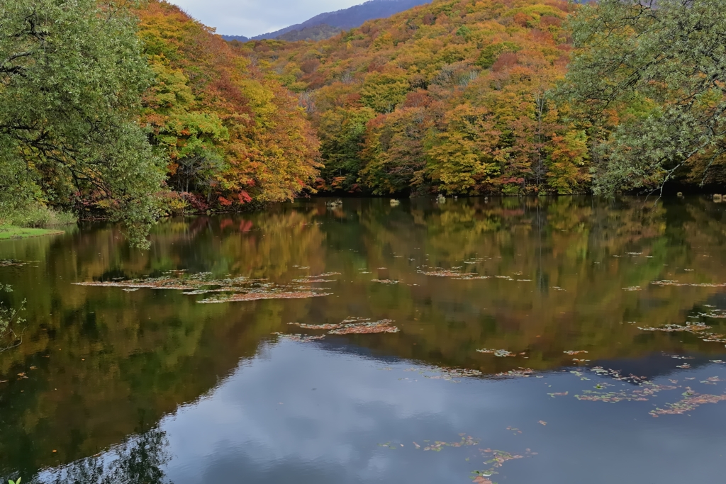 曲沢沼