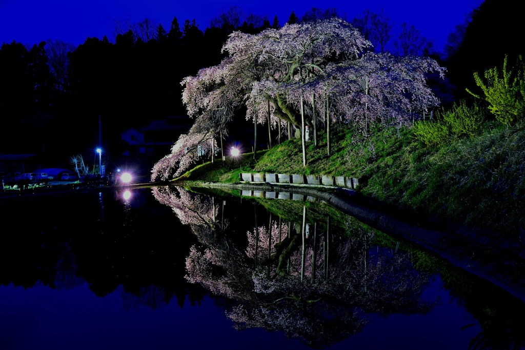 蒼の世界