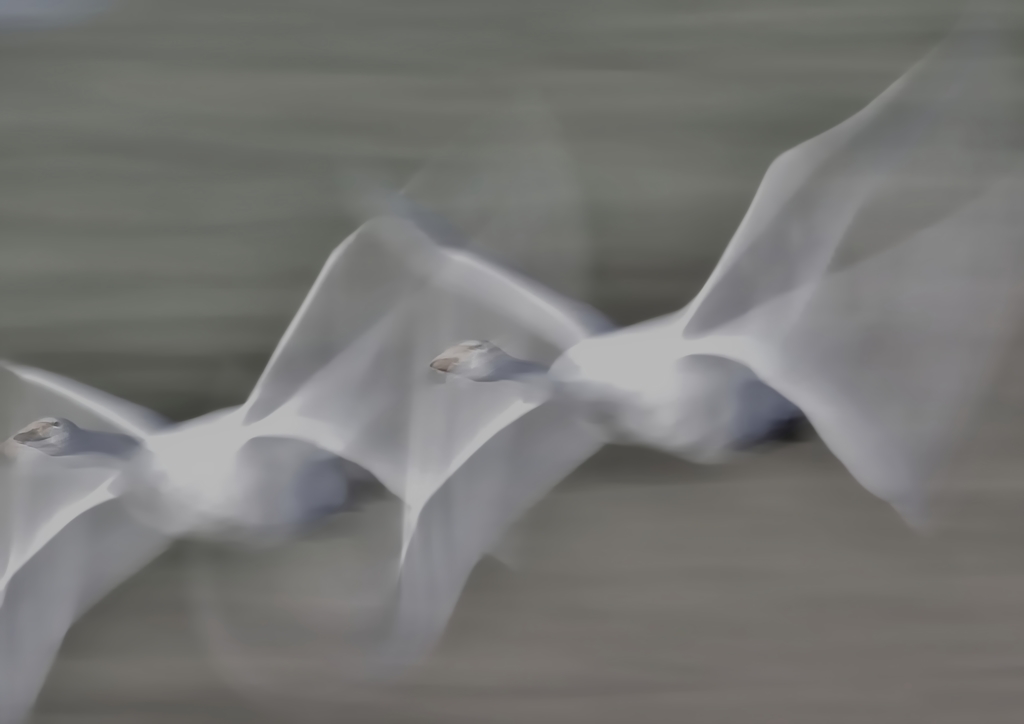 どうしても　写したって