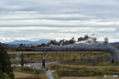 感動しましたⅢ