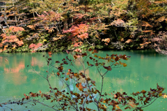 玉川渓谷の紅葉