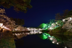 新潟　高田の夜桜Ⅳ