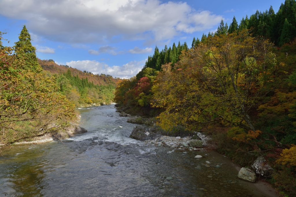 玉川の流れ