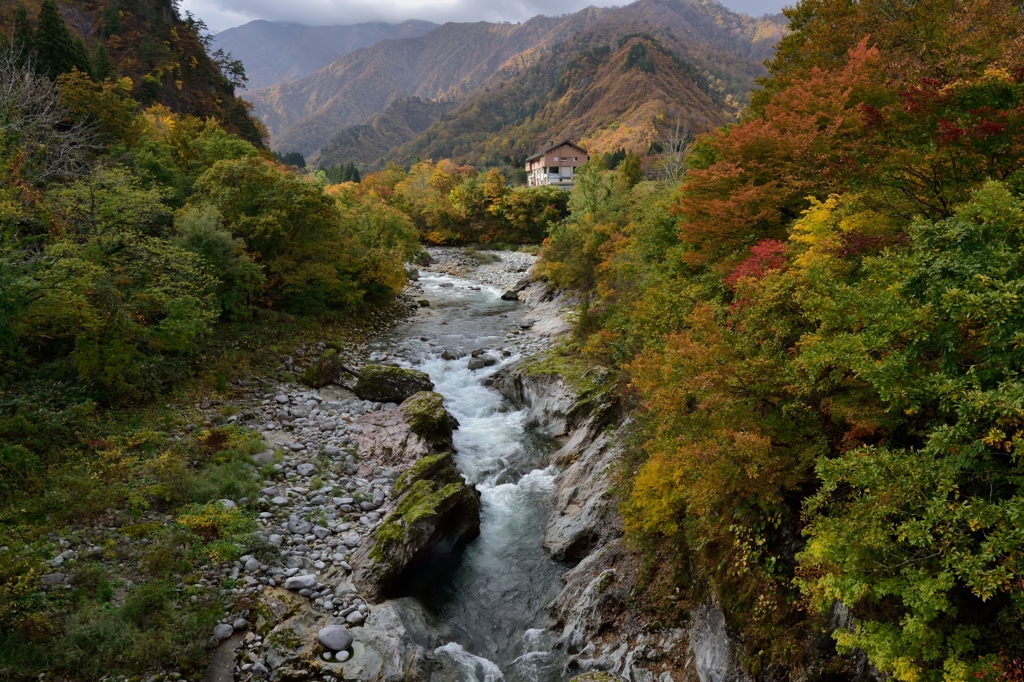 玉川渓流