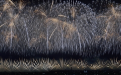 長岡花火　フェニックス