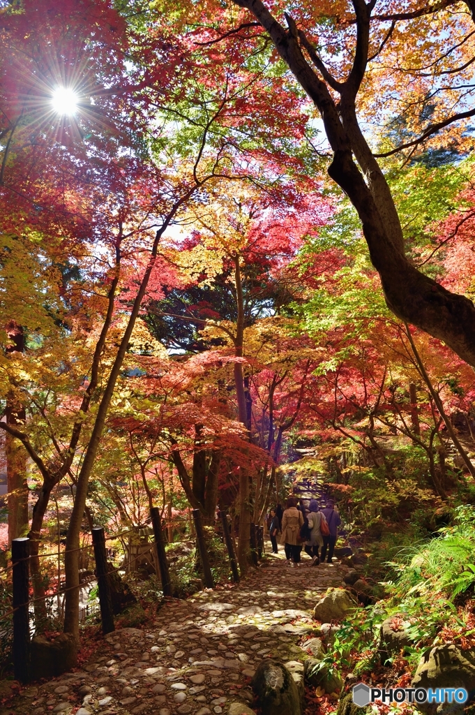 ある日の紅葉狩り