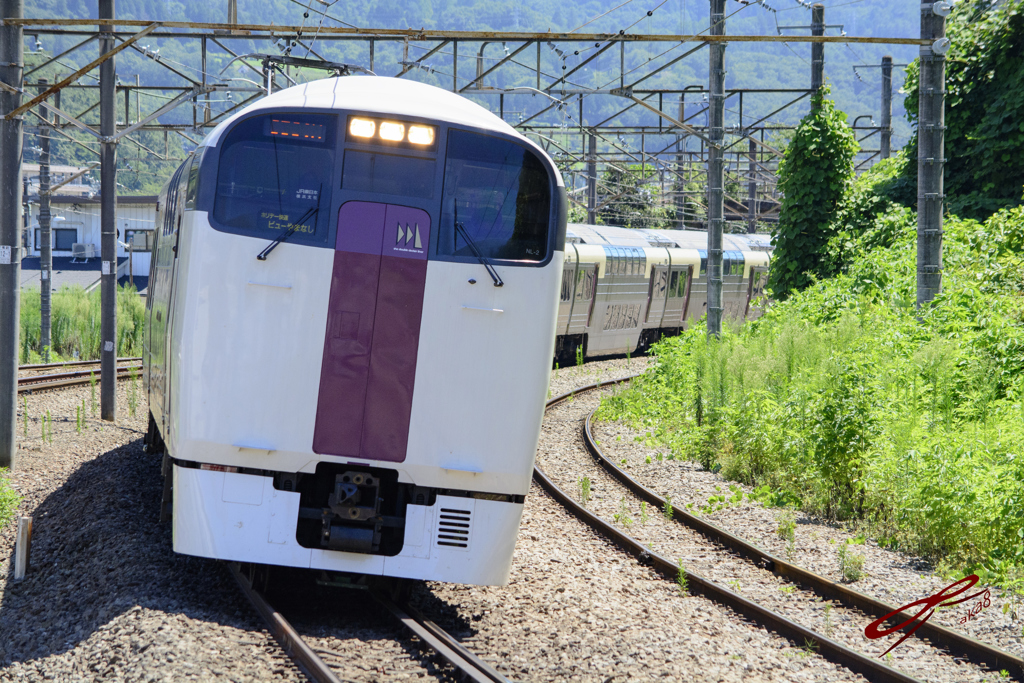 2016/07/30/215系によるホリデー快速ビューやまなし号 猿橋駅にて