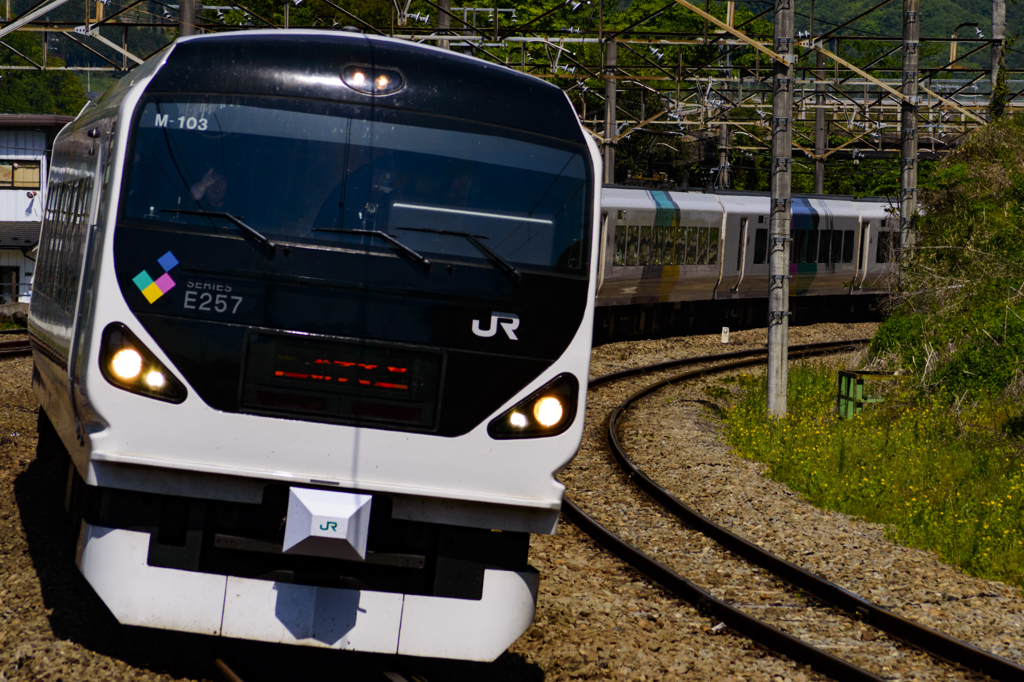 2015/05/02/E257系M103編成　猿橋駅にて