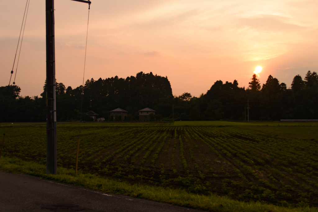 2015/08/03/夏の夕暮れ①