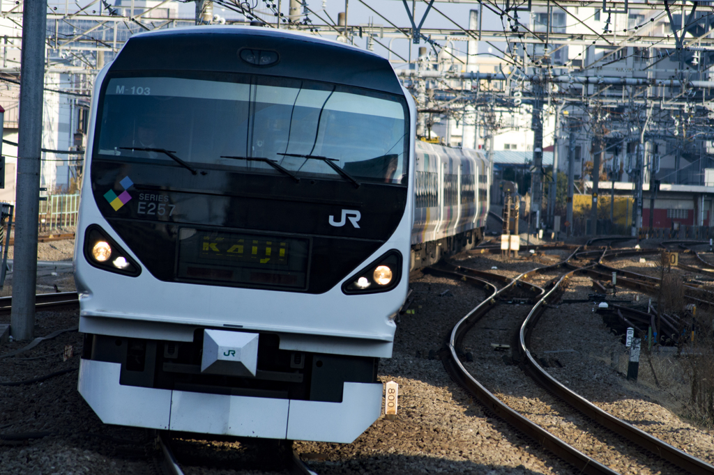 2014/12/30/E257系 かいじ 立川駅にて