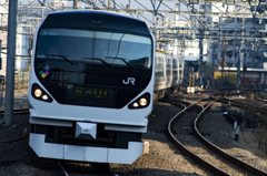 2014/12/30/E257系 かいじ 立川駅にて