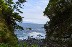 2015/09/14/伊豆の自然①