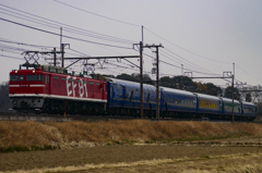 2015/02/17/EF81-95(レインボー) 黒磯訓練 ヒガハスにて