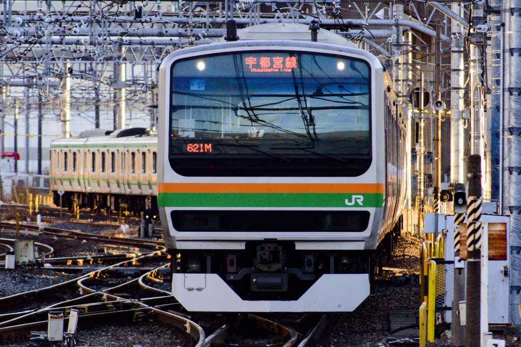 15 01 12 E231系宇都宮線15両 大宮駅にて By Ippaku Id 写真共有サイト Photohito