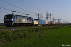 2016/06/18/EF210による貨物列車