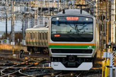 2015/01/18/E231系宇都宮線10両 大宮駅にて①