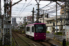 2015/09/05/荒川車庫前を走る都電8800系(ローズピンク)