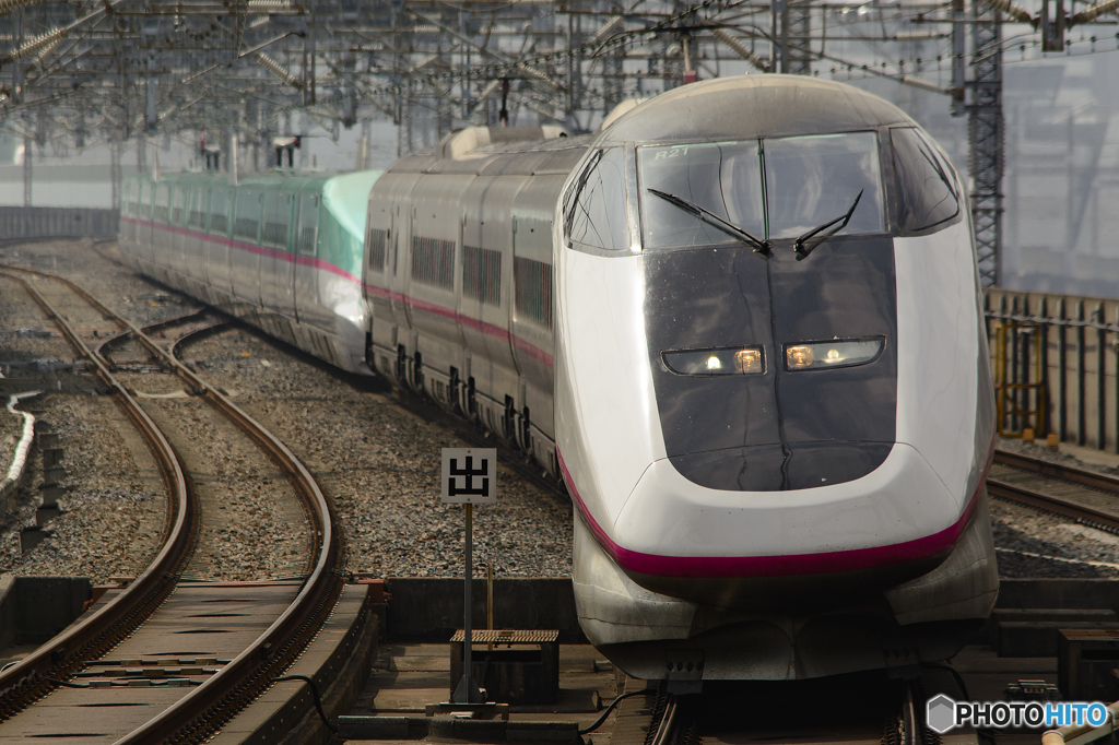 2016/05/03/E3系+E5系(なすの) 大宮駅にて