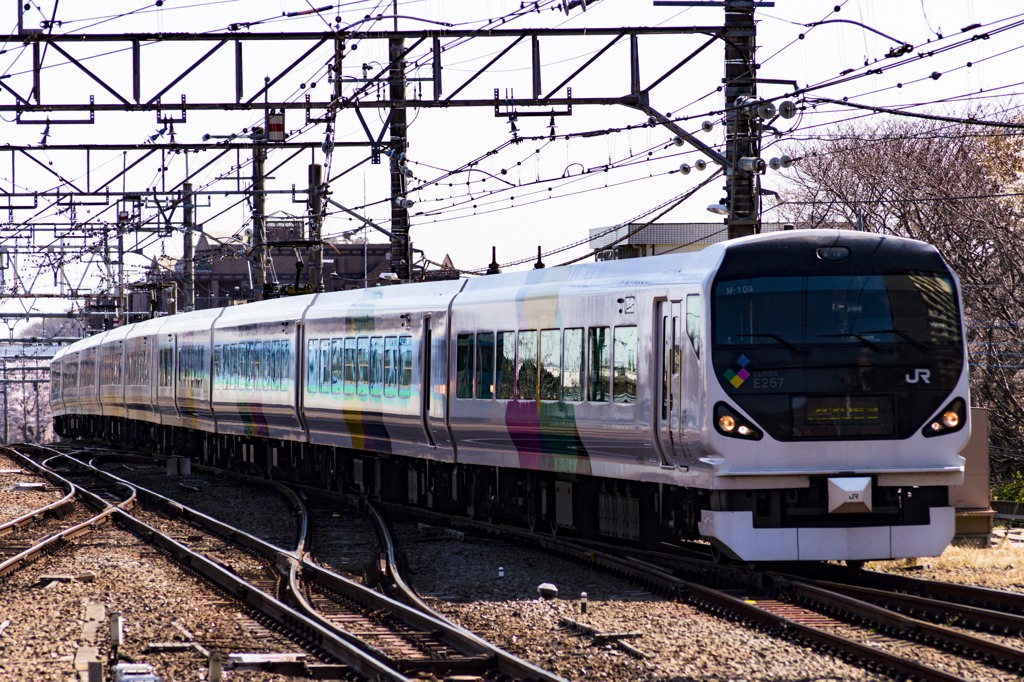 2014/04/05/中央本線E257系 高尾駅にて