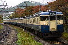 2014/11/01/115系スカ色(トタ車) 勝沼ぶどう郷駅にて