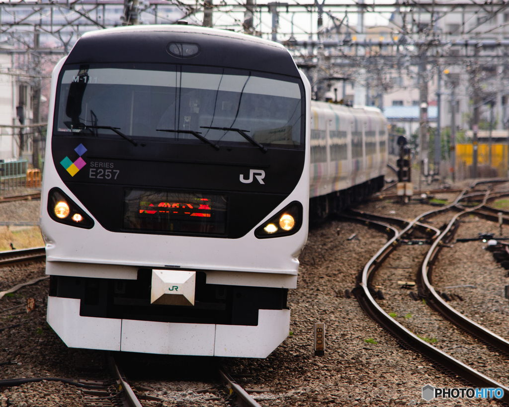 2016/04/10/E257系あずさ 立川駅にて