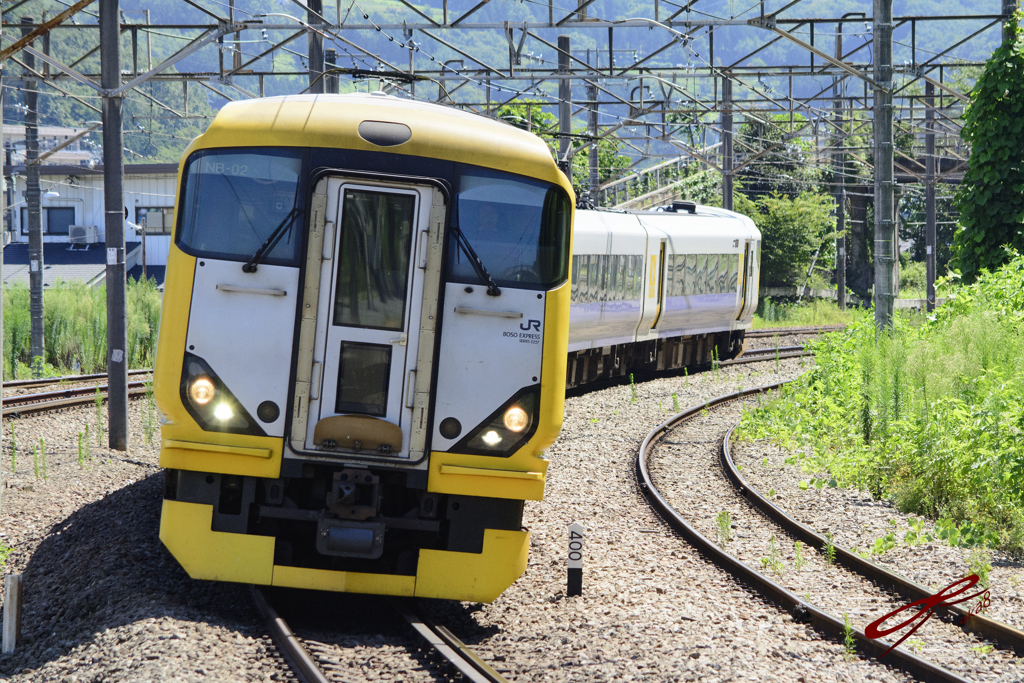 2016/07/30/E257系500番台による快速山梨富士号 猿橋駅にて