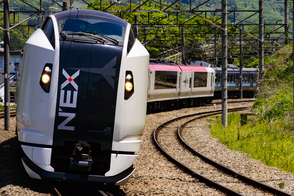 2015/05/02/E259系 成田エクスプレス 猿橋にて