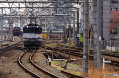 2016/04/10/EF65と485系華