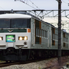 2015/10/31/185系B3編成 はまかいじ 小名路踏切にて