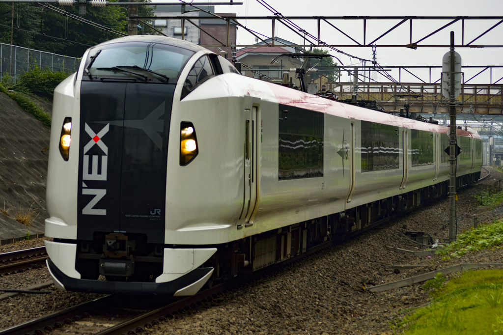 2015/06/13/E259系 成田エクスプレス 西国分寺駅にて