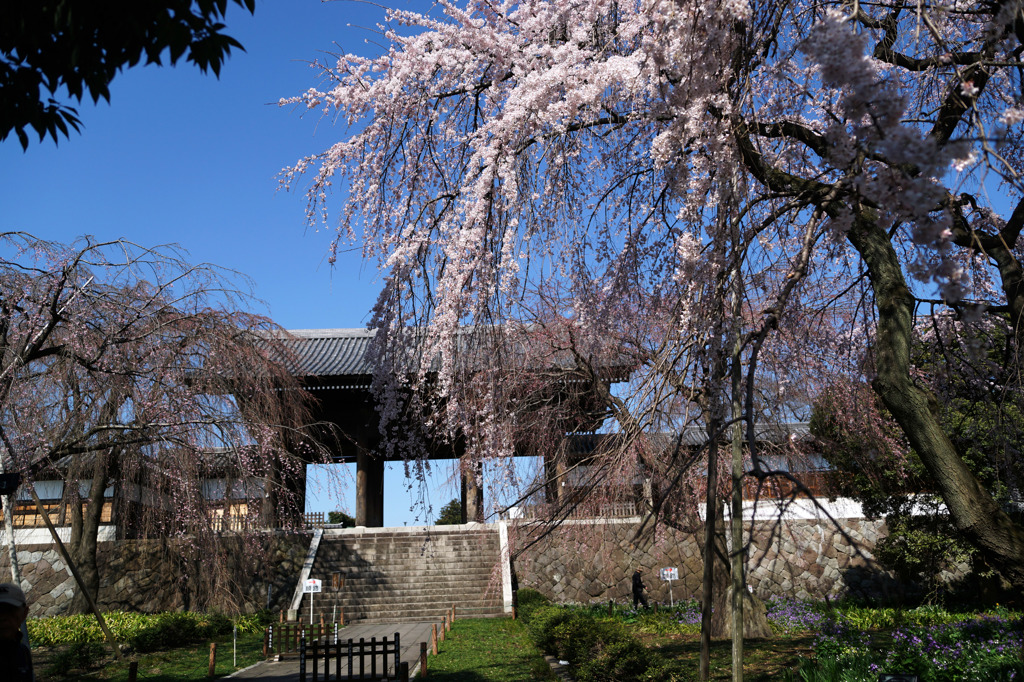 東郷寺