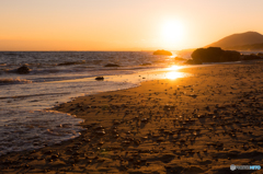 渥美半島の夕日