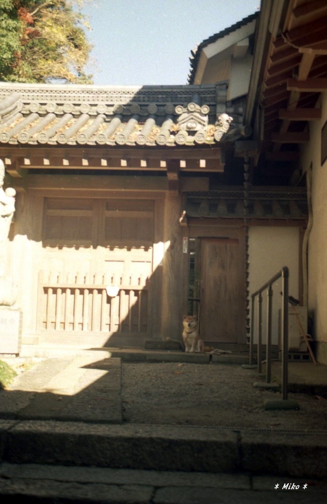 奈良・長谷寺②