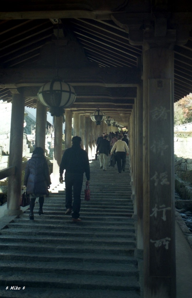 奈良・長谷寺①