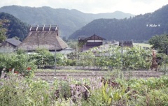 暮らし