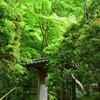 京都 瑠璃光院の新緑