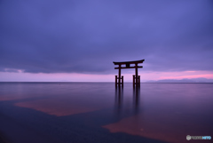 湖西の夜明け②