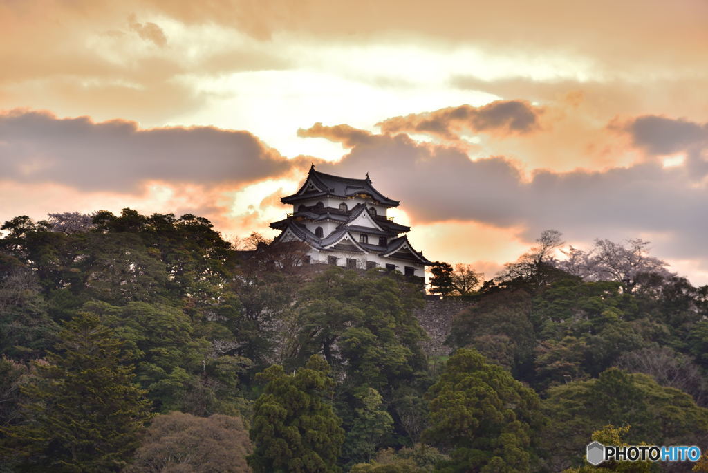 朝の彦根城