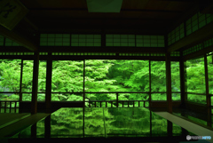 京都 瑠璃光院の新緑②
