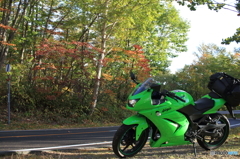 紅葉×Ninja250R
