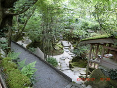 宝泉院　庭園　その２