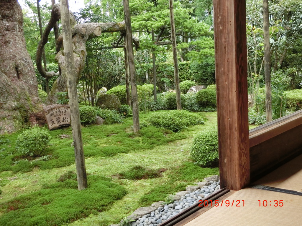 宝泉院　庭園　その３